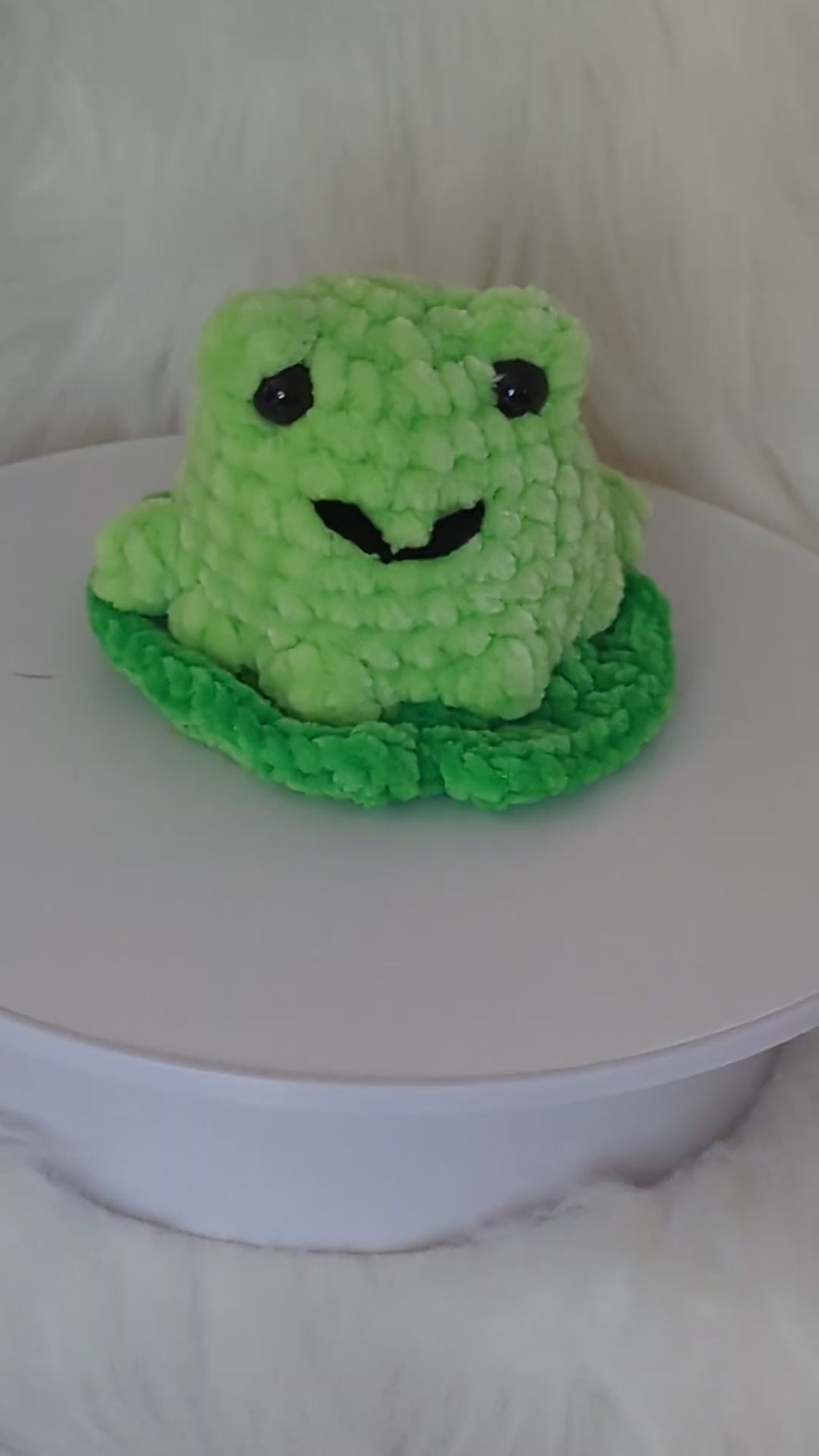Frog Desk Buddy - Woodland Plushie