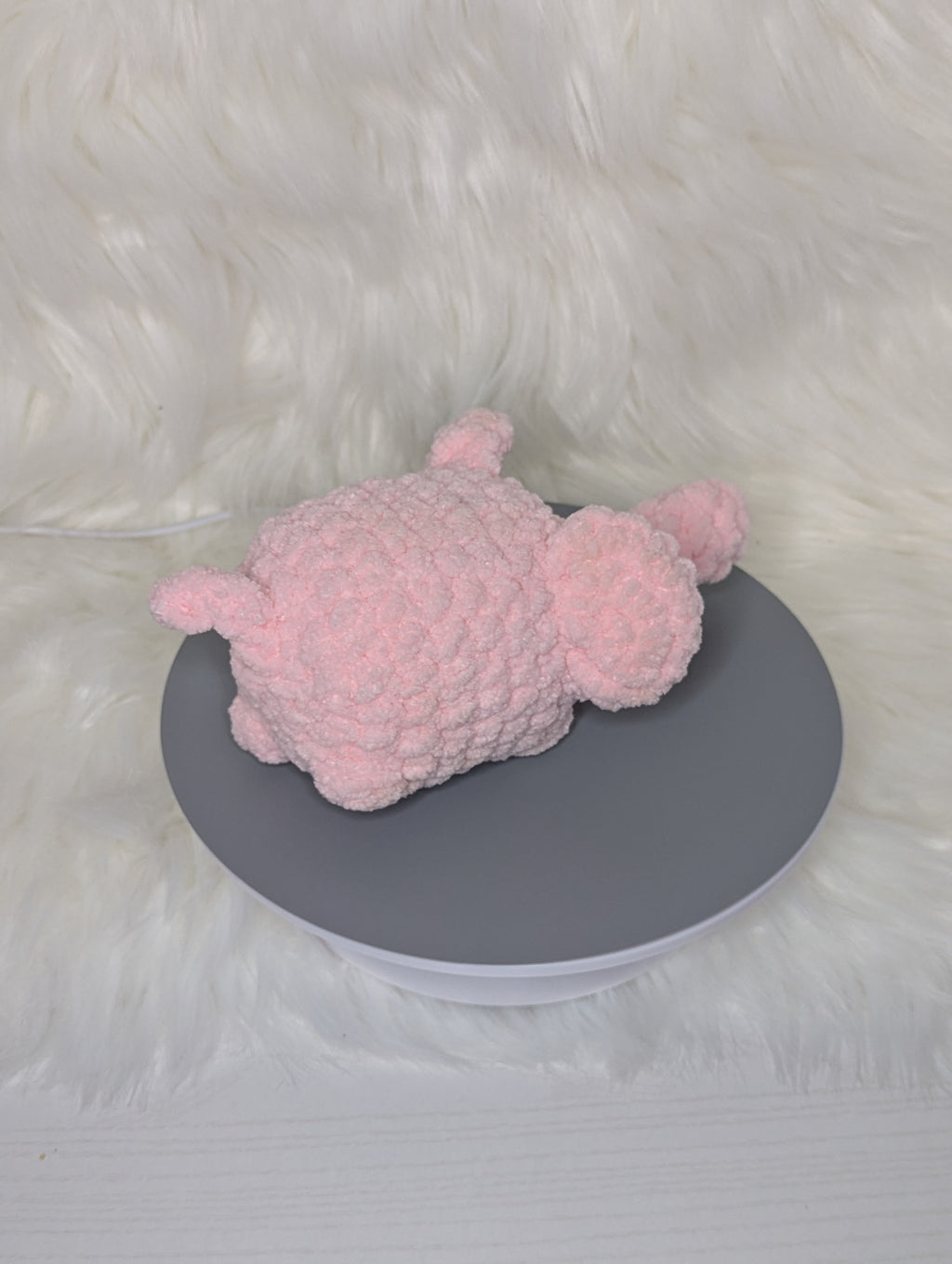 Grumpy mini elephant