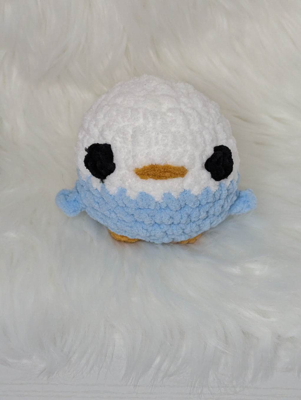 Chubby blue bird