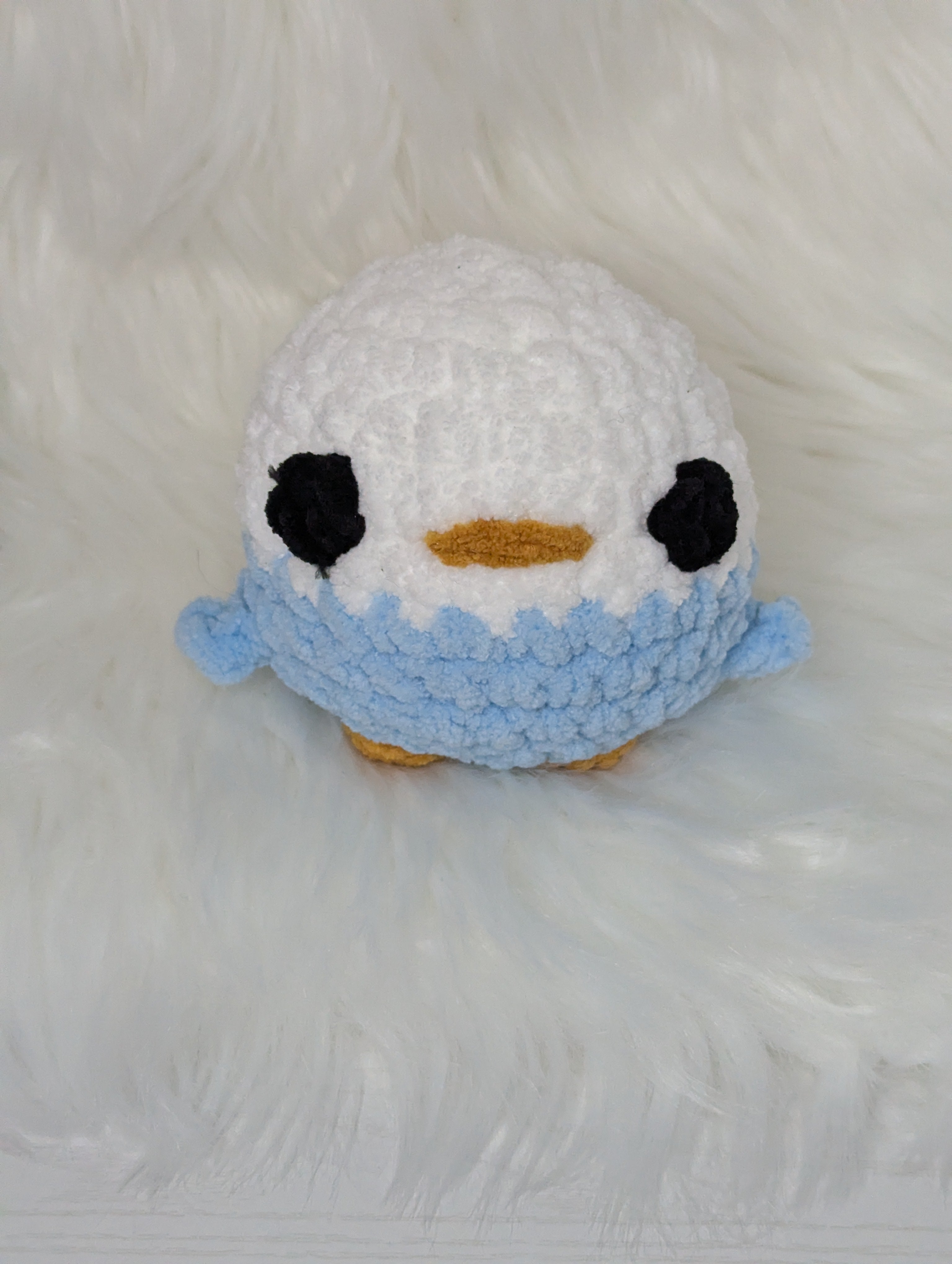 Chubby blue bird