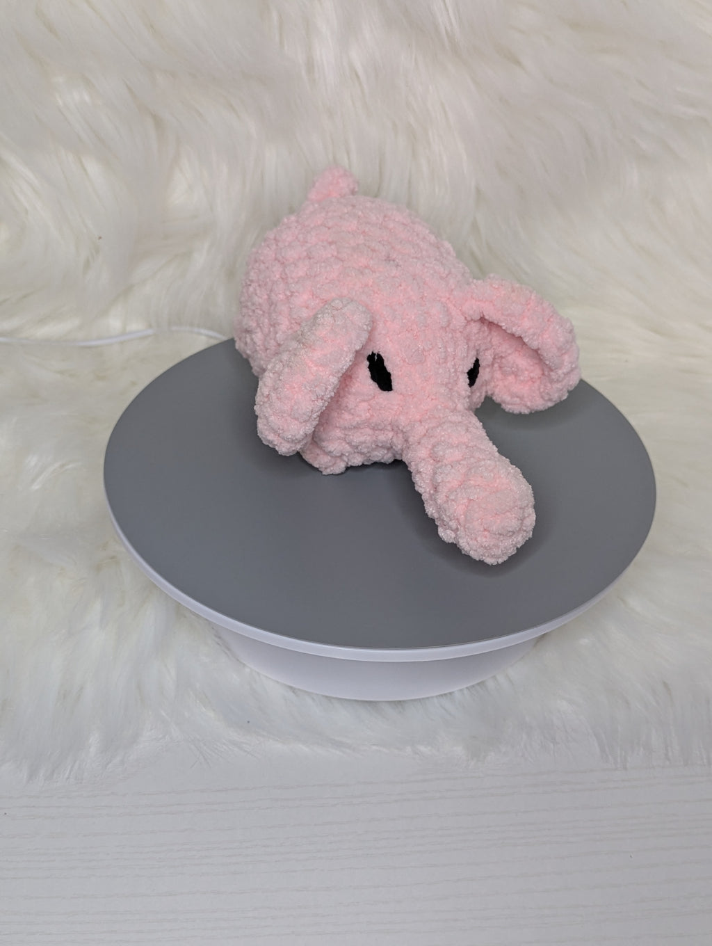 Grumpy mini elephant
