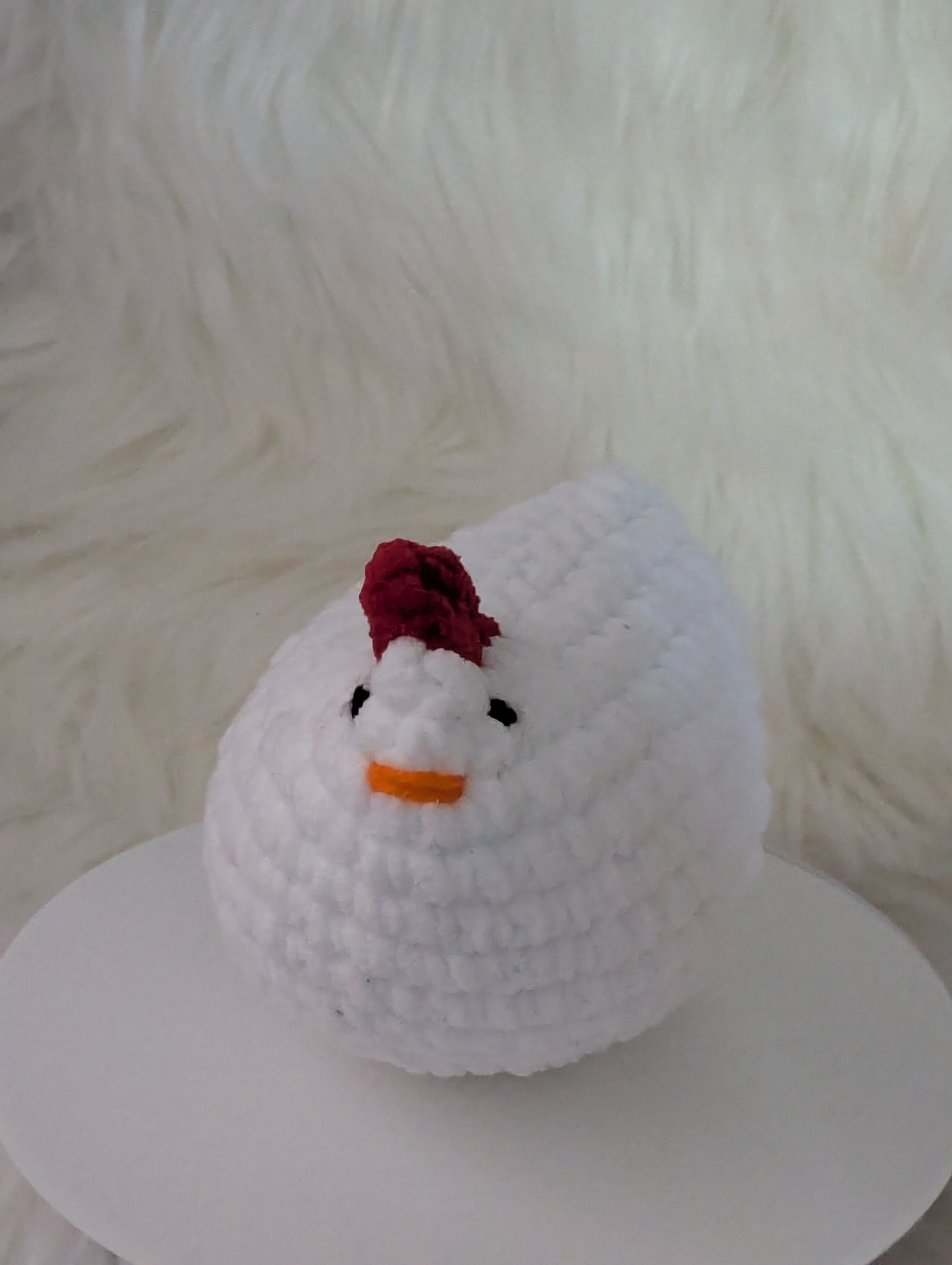 White small hen