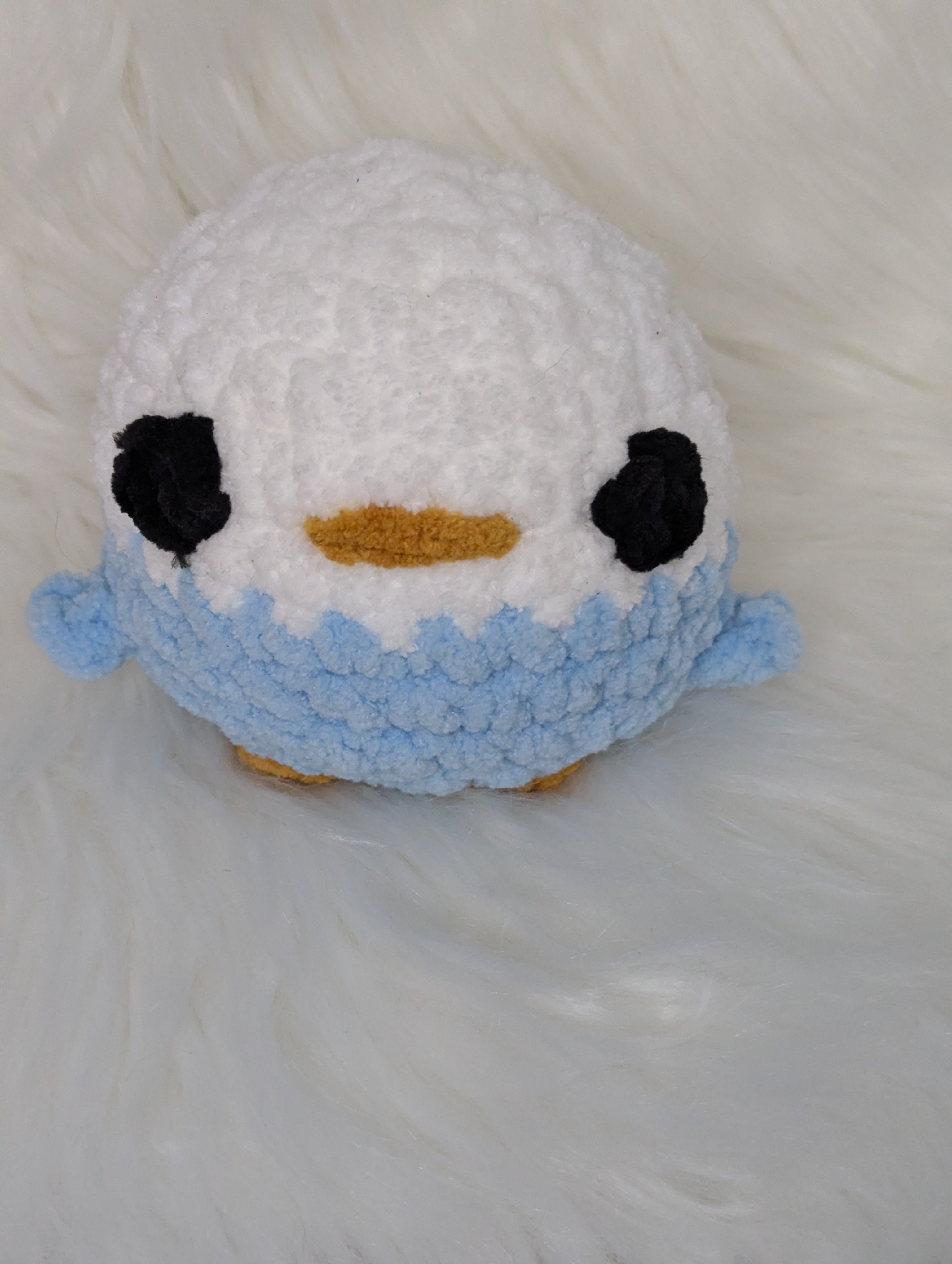 Chubby blue bird