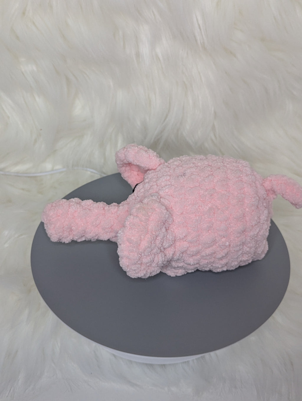 Grumpy mini elephant