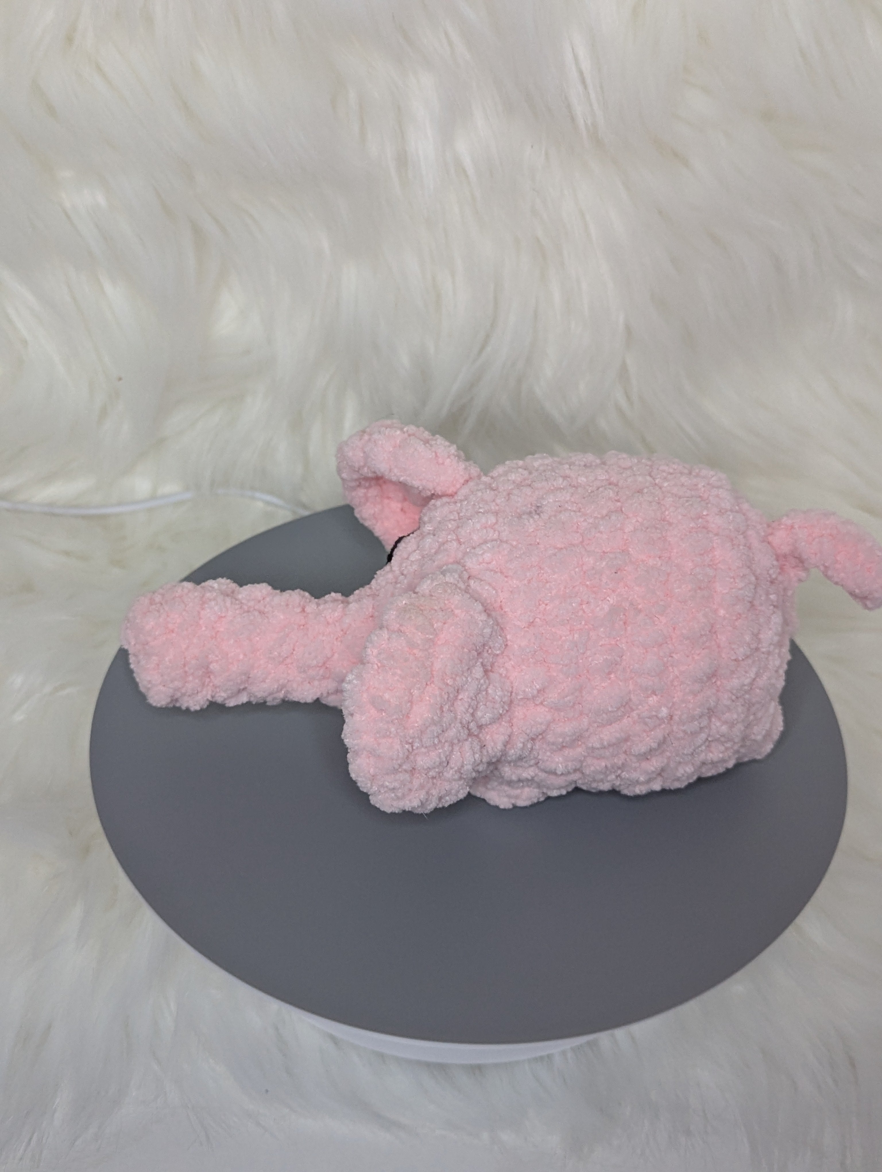 Grumpy mini elephant