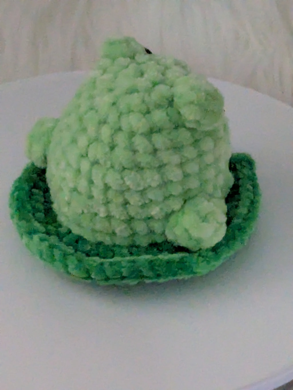 Frog Desk Buddy - Woodland Plushie