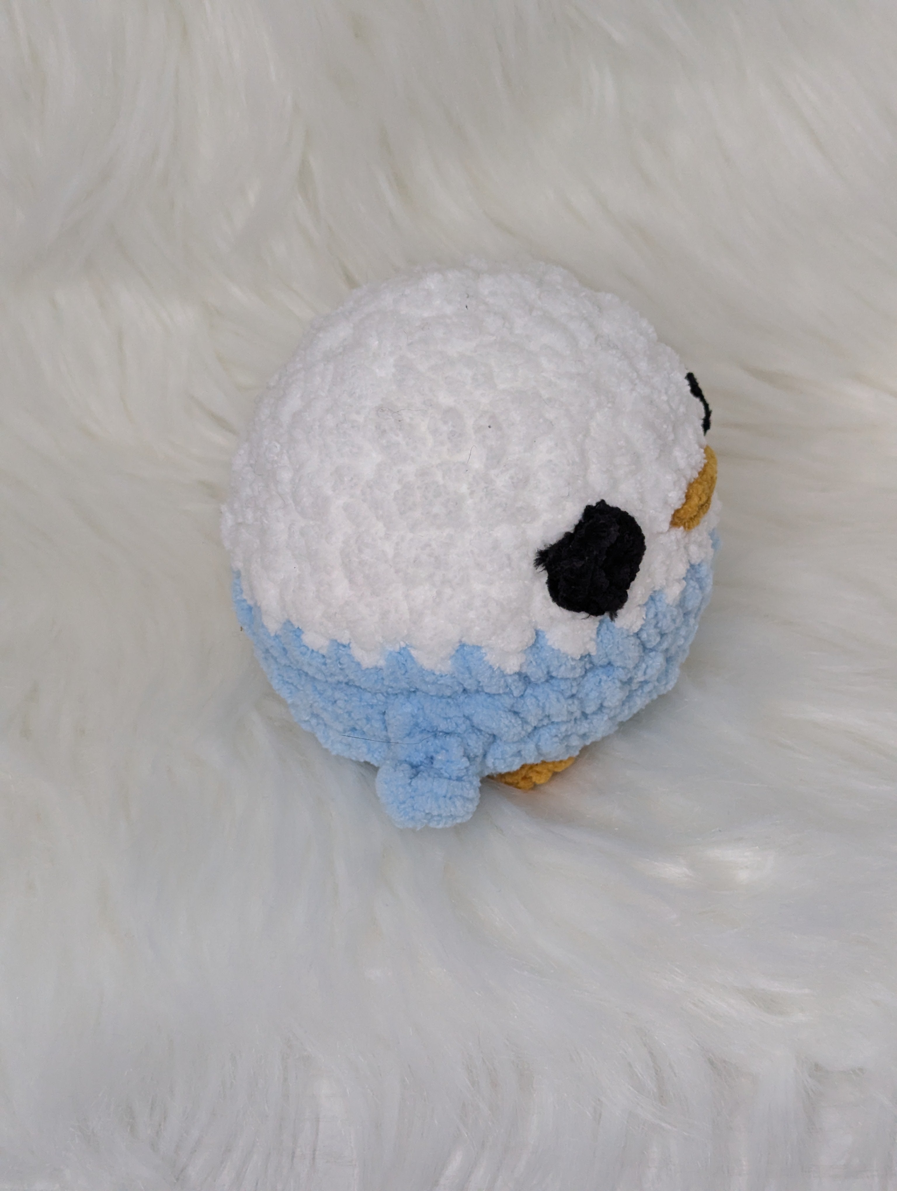 Chubby blue bird
