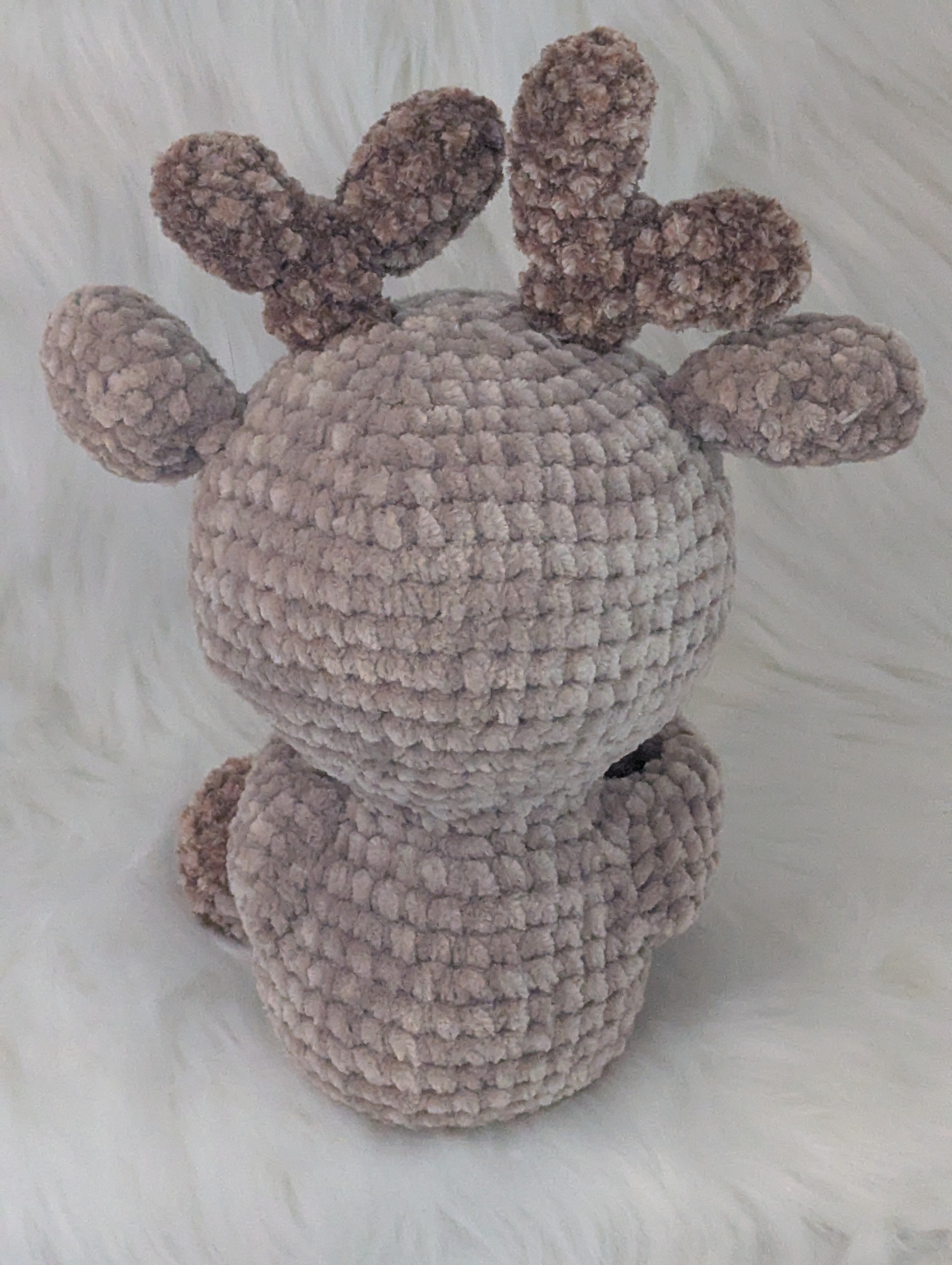 Reindeer