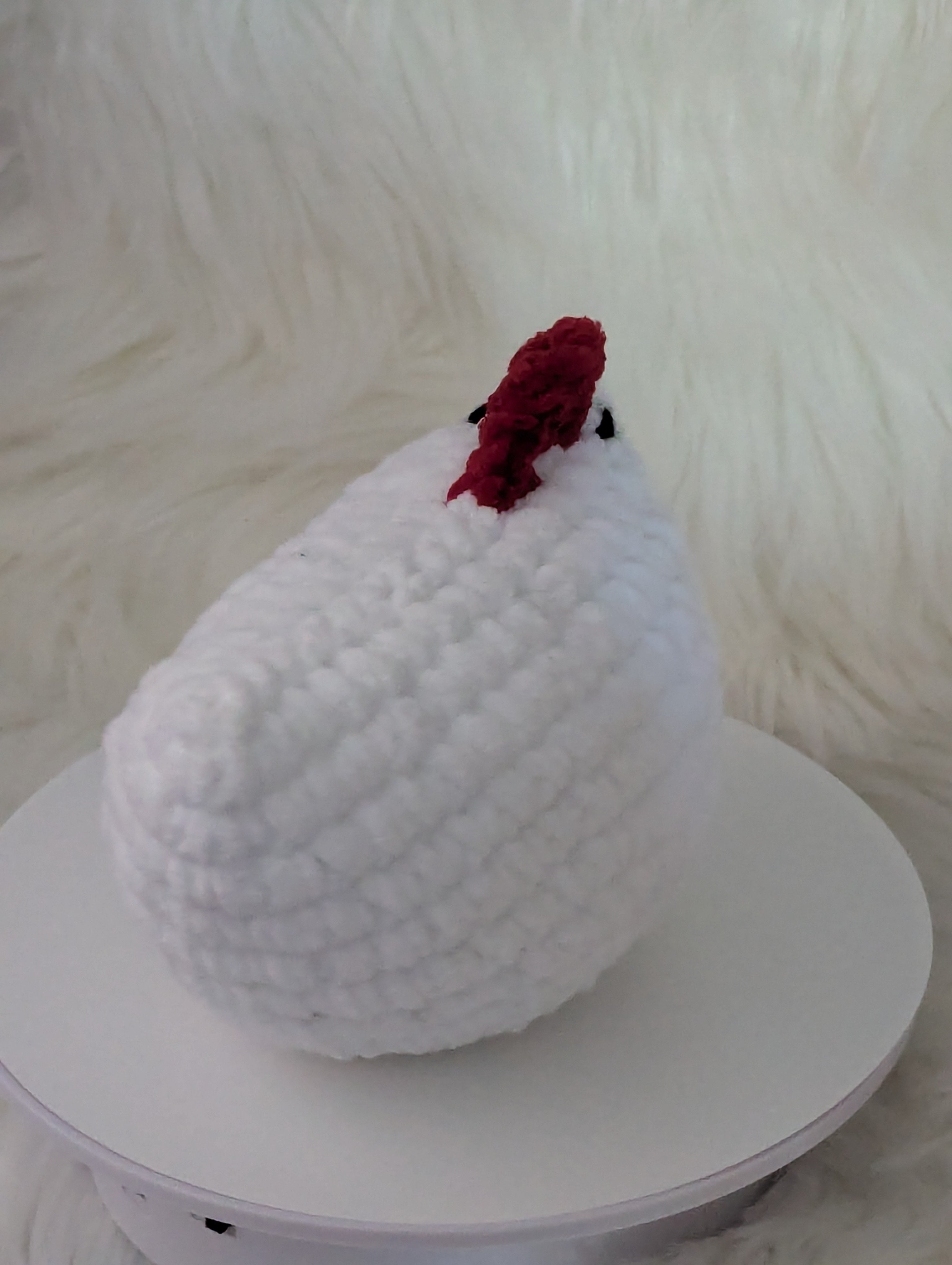 White small hen