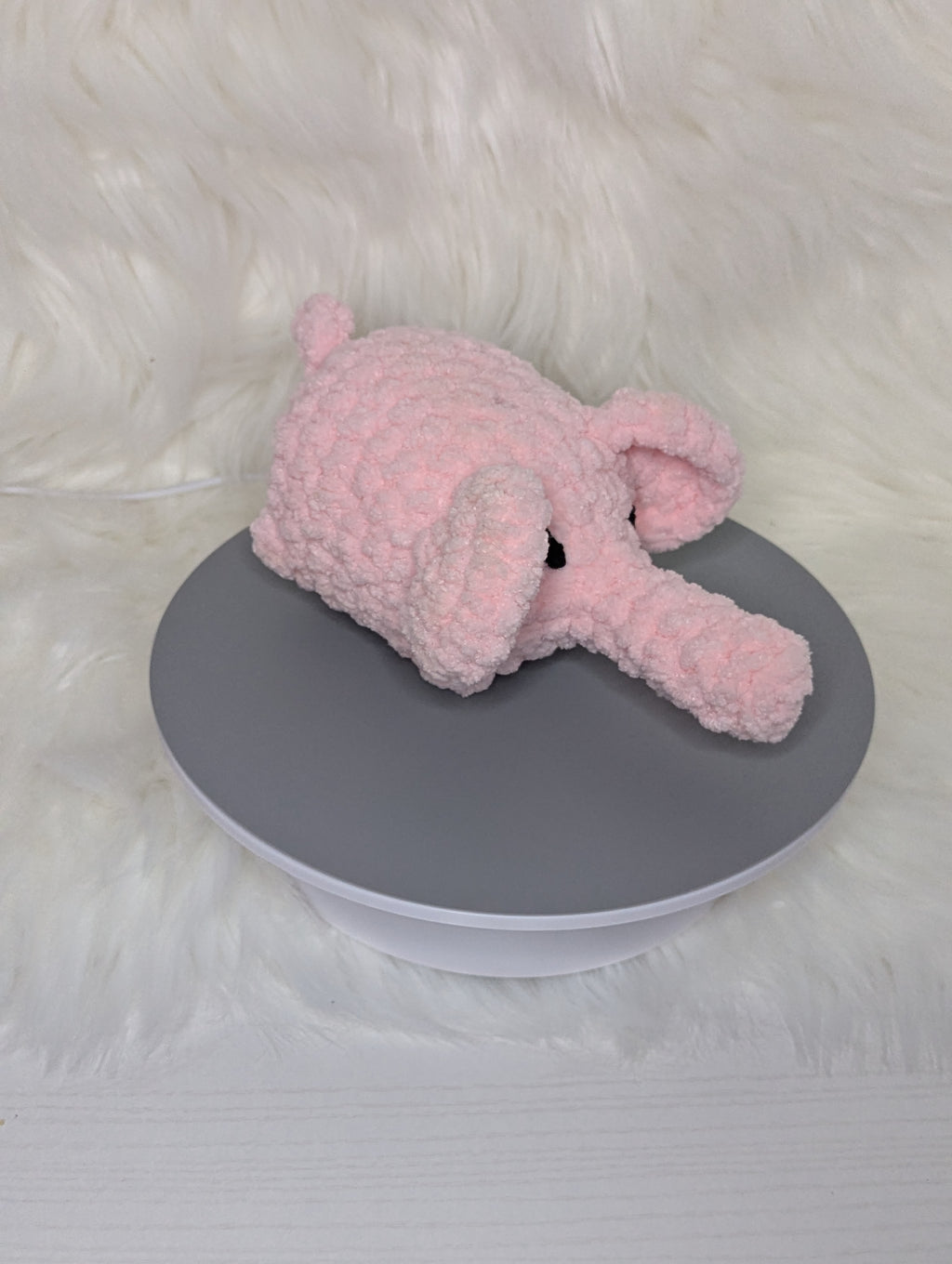 Grumpy mini elephant