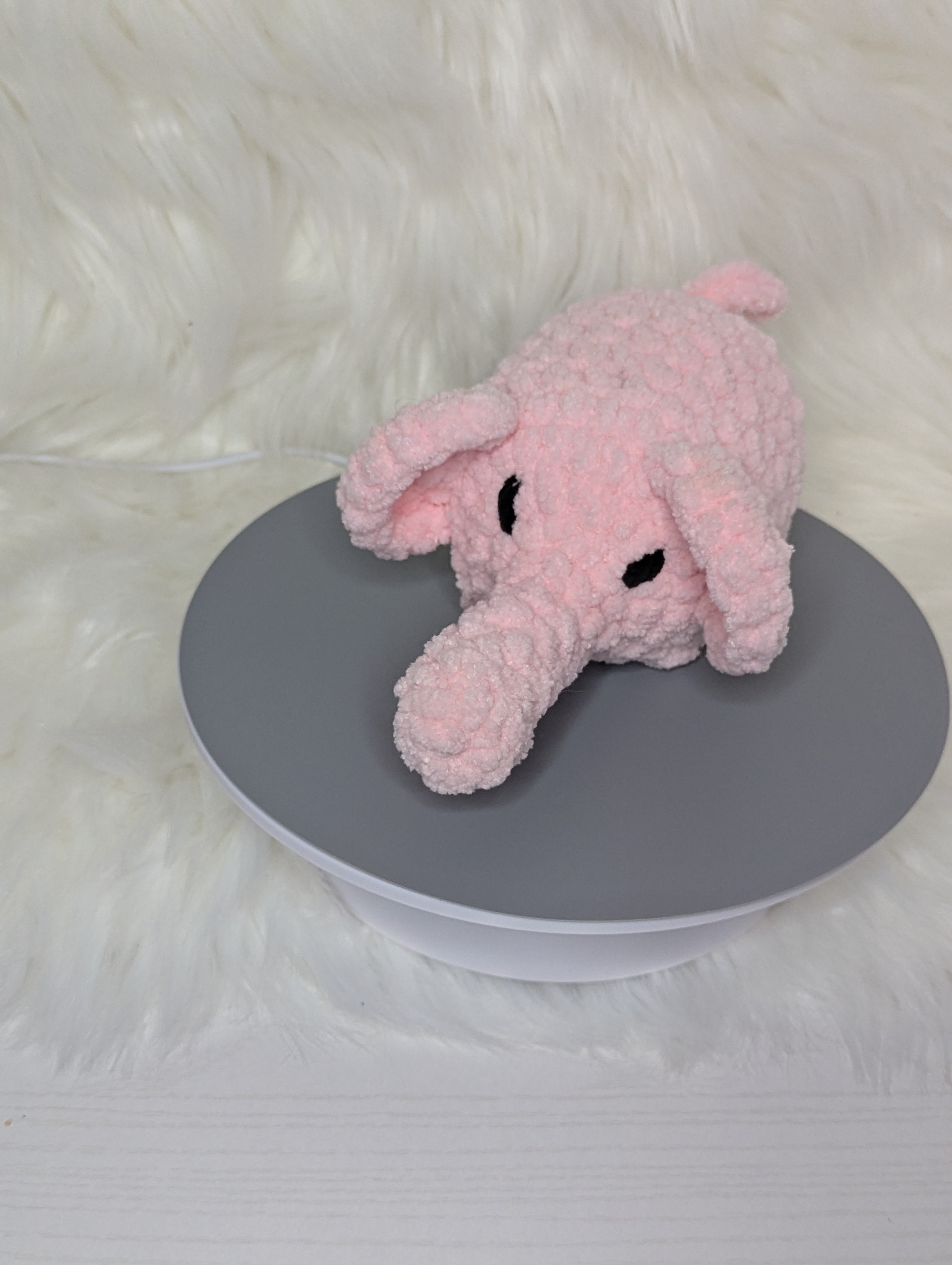 Grumpy mini elephant